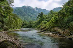 découvrez le río irquis en équateur : sa localisation précise, ses caractéristiques géographiques et son importance dans la région. une exploration complète pour mieux comprendre ce cours d'eau unique.